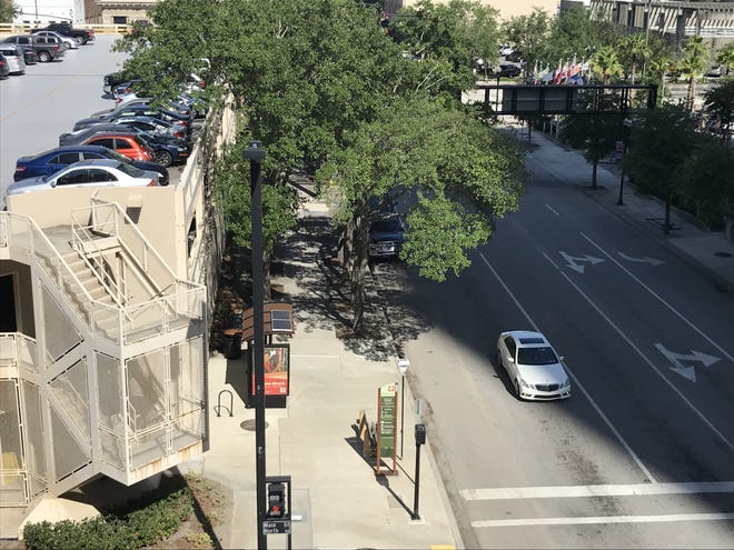Trees provide shade at the intersection of Bay and Main streets. Jacksonville pedestrians appreciate the shade as they walk Downtown. Compare this to the useless palm trees that are far too common in Downtown. (Mike Clark/Florida Times-Union)