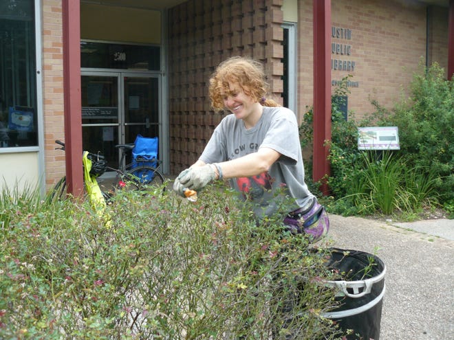 Katie Duffy, conservation program coordinator with the city's Watershed Protection Department, tends to the garden at Austin Public Library Howson Branch. [Carolyn Lindell for Statesman]