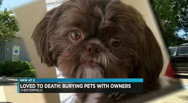 A Virginia woman's will called for her dog to be euthanized and buried with her. [WWBT-TV]