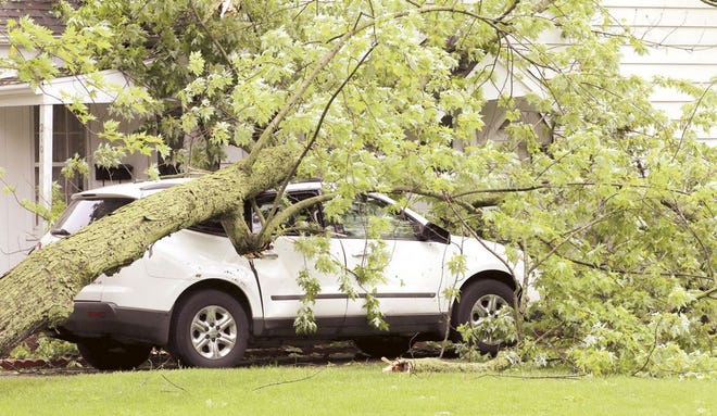 A tree fell on a vehicle Thursday on East Electric Court in Sturgis, one example among many of damage caused when a thunderstorm rolled through the area.