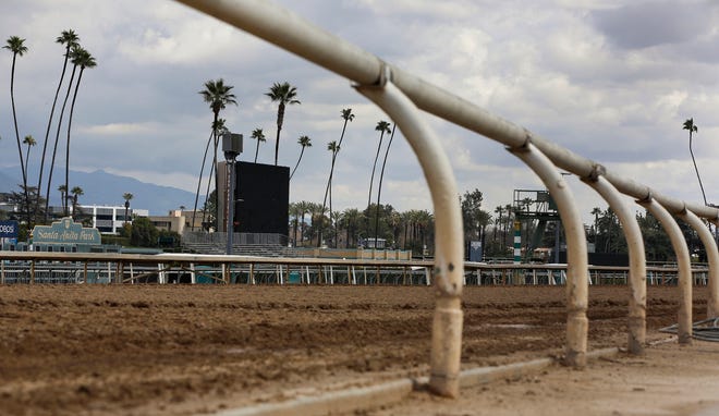 The home stretch race track is empty at Santa Anita Park in Arcadia, Calif. on March 7, 2019. Santa Anita had its third horse death in nine days when a gelding pulled up during a race and was later euthanized. [DAMIAN DOVARGANES/THE ASSOCIATED PRESS]