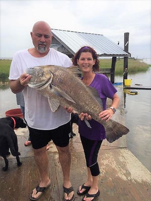 This is a bit of an unusual catch. Shelia Edmonston caught this big drum in her cast net at Cocodrie on May 10, 2019 while throwing for shrimp to go fishing for reds and specks.