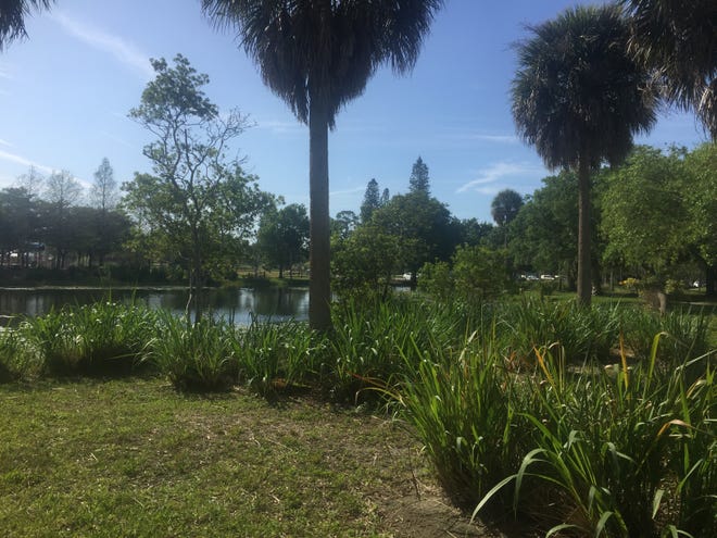 Among Sarasota's parks, Payne Park was given the highest budget by far, at more than $10 million, distributed among the park, the skate park and the tennis center. [HERALD-TRIBUNE ARCHIVE / BARBARA PETERS SMITH]