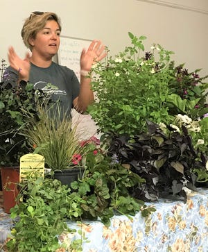 Rachel Tipton of Harbourside Garden Company showed members her favorite plants to grow during the hot days of summer. [CONTRIBUTED PHOTO]