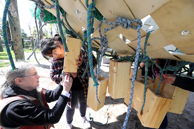 Melanie Tan helps Laura Brown build the rainbow bridge toy for the elephants at Buttonwood Park Zoo. [Wicked Local Photo by Robin Chan]