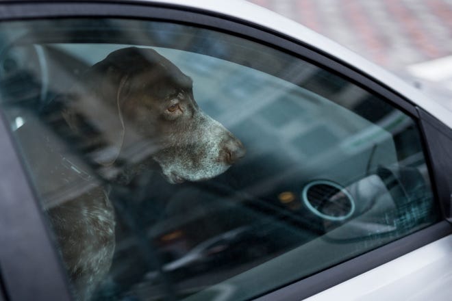 Pennsylvania State Police are reminding residents of the new Hot Car Bill, which allows first responders to rescue animals trapped in hot cars. [GATEHOUSE MEDIA ARCHIVES]
