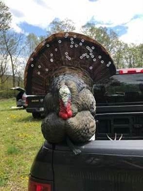 The turkey decoy recovered from a hunting related shooting incident. [PHOTO PROVIDED BY DEC]