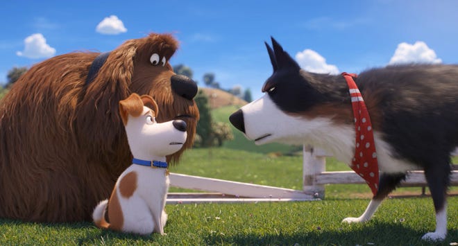 Max and Duke get a stern talking to from Rooster. [Universal Pictures]