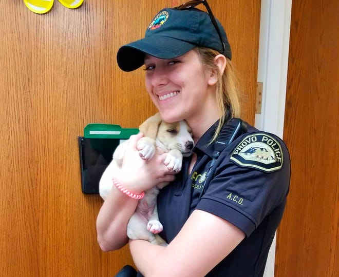 This photo provided by the Provo Police Department shows Animal Control Officer Elena Farnsworth holding a puppy that was rescued after she and her owner were trapped in a moving garbage truck in Provo, Utah, Tuesday, June 4, 2019. Provo Police Sgt. Nisha King said Tuesday officers rescued the puppy and her 43-year-old owner earlier that morning. They were sleeping in the dumpster when the truck collected and compacted the bin's contents with them still inside. The driver stopped the machine after hearing the man call for help. He sustained minor injuries. (Provo Police Department via AP)
