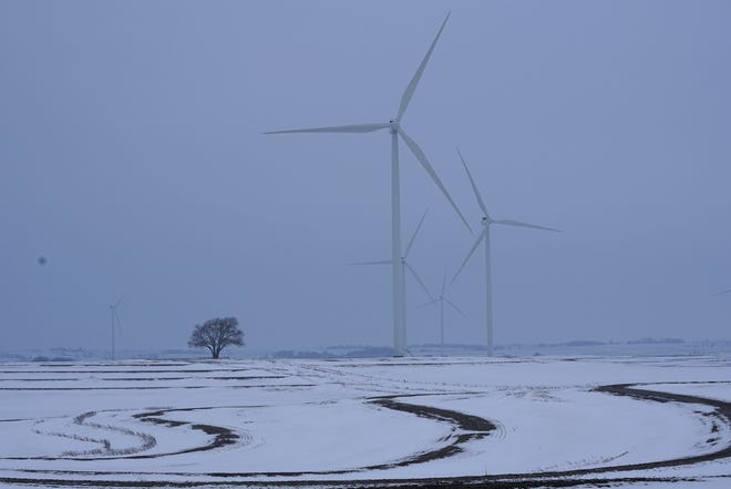 In this Friday, March 8, 2019 photo, several 350-foot tall wind turbines on the Rock Creek Wind Farm stand next to a tree in Atchison County, Mo.. The wind farm is owned by Enel Green Power North America. It is Missouri's largest wind farm, consisting of 150 turbines. Taxes on Rock Creek Wind Farm and two other area wind farms help fund schools, local government and fire and ambulance districts. (Antranik Tavitian/Missourian via AP)
