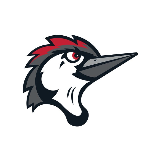 The Fayetteville Woodpeckers baseball team's logo. [Contributed]