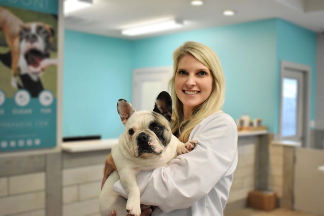 Pet Paradise opens first full-service veterinary service in Jacksonville Pet Paradise opens first full-service veterinary service in Jacksonville