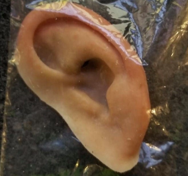 This prosthetic ear was found on a Florida beach. [HOLMES BEACH POLICE DEPARTMENT]