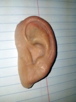 In this photo made available by the City of Holmes Beach Police Department, a prosthetic ear is displayed, Thursday, June 20, 2019. (City of Holmes Beach Police Department via AP)