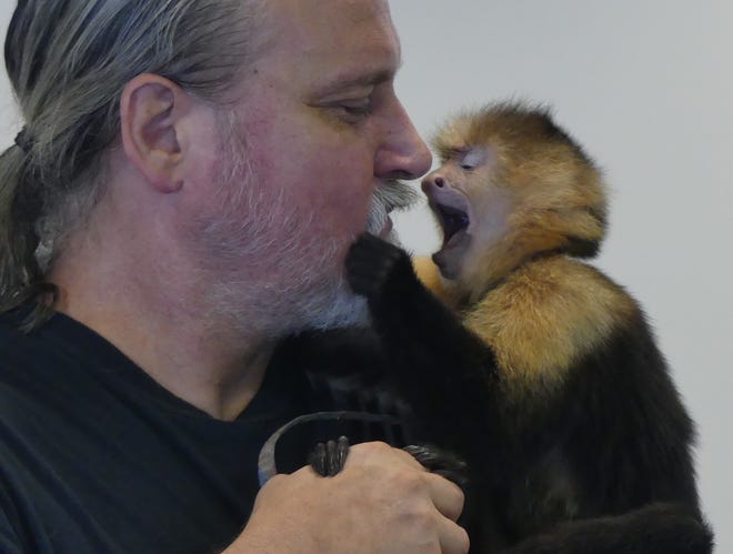 Rosie the white faced Capuchin monkey thrilled the children at the Eustis Library on Friday. [Photos by Linda Florea/Correspondent]