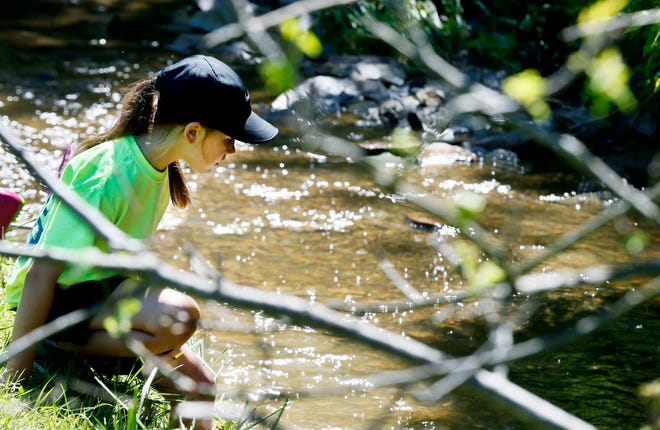 Collins Cox plays in a creek at the Ferguson-Wertman Outdoor Learning Center to develop her writing skills via nature during a summer writing workshop on Friday. About 60 students in grades kindergarten through third from Reagan and Edison elementary schools attended.