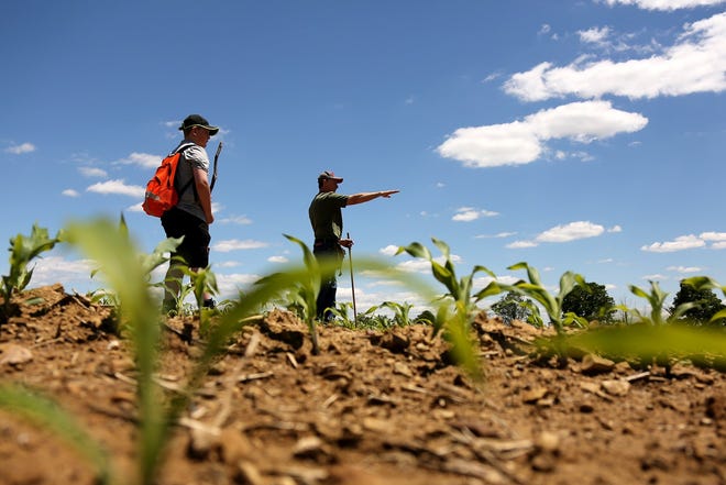 From left: Carson Stroupe, 11, of Delaware, and Jake Schneider, of Clintonville, search a recently planted corn field in Johnstown for arrowheads and other artifacts (Courtney Hergesheimer/Dispatch)