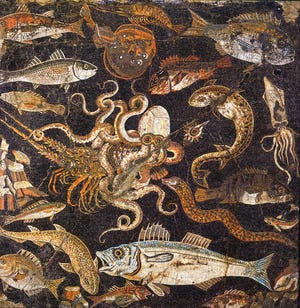 Mosaic with a red mullet and below it a grey mullet in the upper left corner; house VIII.2.16, Pompeii, IT; Museo Archeologico Nazionale, Naples. [Wolfgang Rieger/Wikimedia Commons]