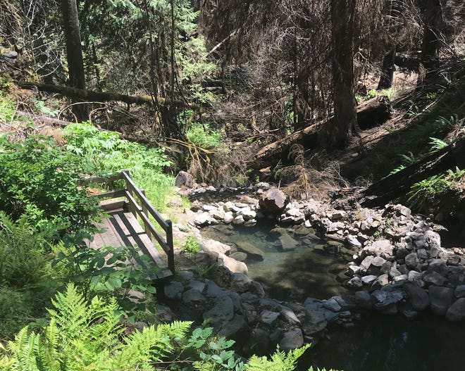 Terwilliger Hot Springs and F.S. Road 19 are set to reopen July 1, 2019. [Willamette National Forest, U.S. Forest Service]