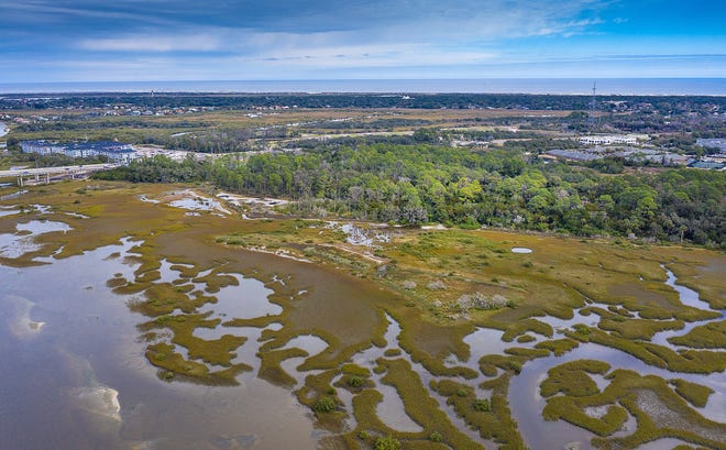 An aerial photograph shows the area of Fish Island, south of State Road 312 and next to the Matanzas River, on Tuesday, January 29, 2019. [CONTRIBUTED]