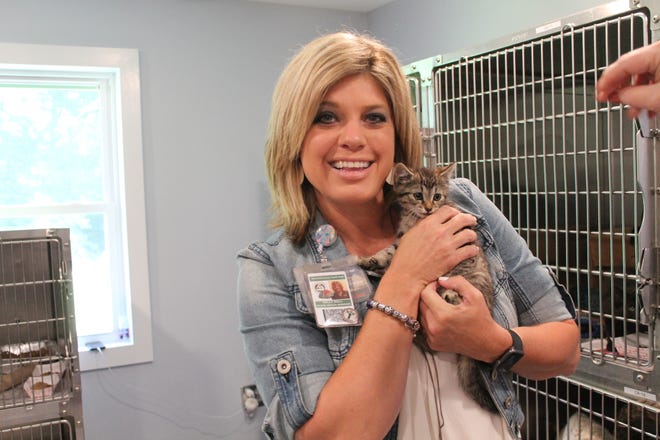 Holly Wall, coordinator of health services for animal control, holds one of the many kittens who have been dumped at the shelter recently. County leaders are working on ordinances to prevent unwanted animals and improve the quality of life for Cleveland County pets. [Rebecca Sitzes/The Star]