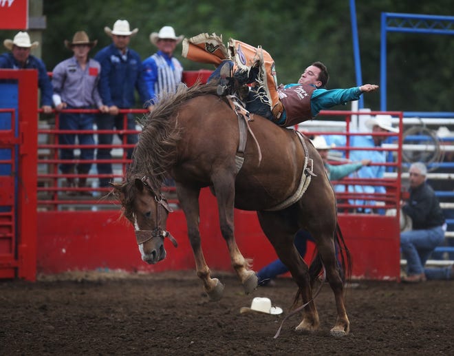 Jake Brown from Cleveland, Texas, rides Big Star to an 85.5 score to win the bareback competition on Saturday's last night of the Eugene Pro Rodeo. [Chris Pietsch/The Register-Guard] - registerguard.com