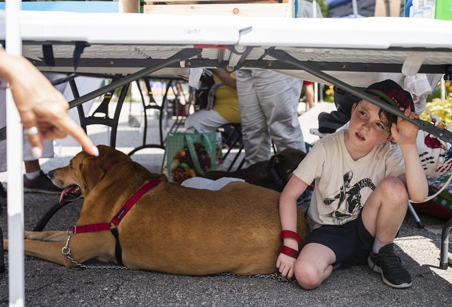 Luke Nichols and pup Buddha take a break from the hot sunshine during the INterDEPENDENCE Day Festival Saturday in Worcester. [T&G Staff/Ashley Green]