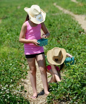 Keep safe from the sun's harmful rays by wearing a hat when outdoors. [Gatehouse Media file]