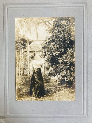 Picking oranges in the garden of George West, one of the Panama City founders. [CONTRIBUTED PHOTOS]