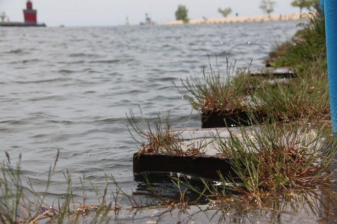 Rising waters along Lake Macatawa have Park Township property owners concerned about possible damage. [Devin Dely/HollandSentinel]