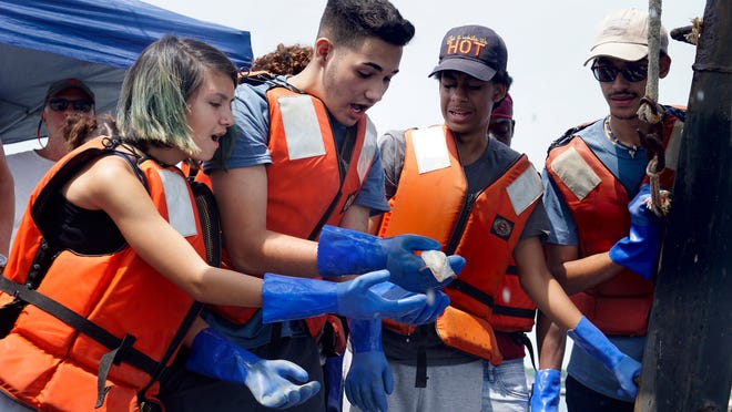 Leannah Cabral, left, of the Met School; Mateo Munoz, of Central Falls High School and Adrian Carrasco, of Paul Cuffee High School try to keep their grip while they examine a wet and slippery skate netted with a variety of other fish in Narragansett Bay. CCRI Shark Camp intern Jordan Barrow, watches at right aboard the Cap'n Bert. [The Providence Journal / Kris Craig]