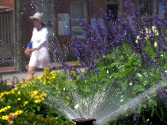 People, plants, flowers and animals were subject to the intense heat across the Seacoast as the first heat wave of the season sent temperatures into the 90s. [Rich Beauchesne/Seacoastonline]