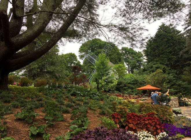 The new Garden of the Senses at Heritage Museums and Gardens in Sandwich MA. The restored Old East Windmill is visible through the trees in the center.
