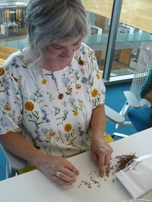 Colleen Dieter separates out some seeds for the seed library at Austin Central Library.

[Carolyn Lindell/For American-Statesman]