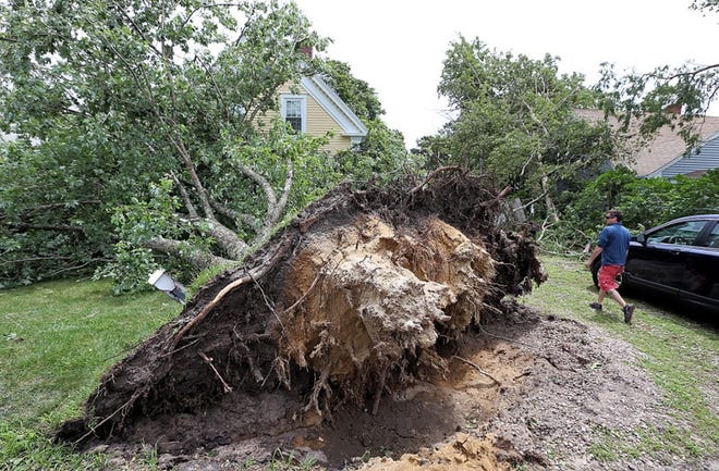A large tree toppled onto a house in Dennis Port after last Tuesday's tornado. [COURTESY PHOTO]