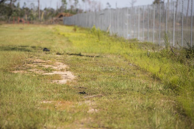 The bare patch at left shows where the Tyndall Elementary School perimeter fence was before it was replaced after Hurricane Michael. The tall grass is an area that might have lead pellets and World War II era clay pigeon fragments. [JOSHUA BOUCHER/THE NEWS HERALD]