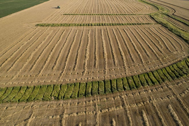Wheat is harvested with a combine harvester in an aerial photograph over Kirkland, Illinois, on July 15, 2019. MUST CREDIT: Bloomberg photo by Daniel Acker