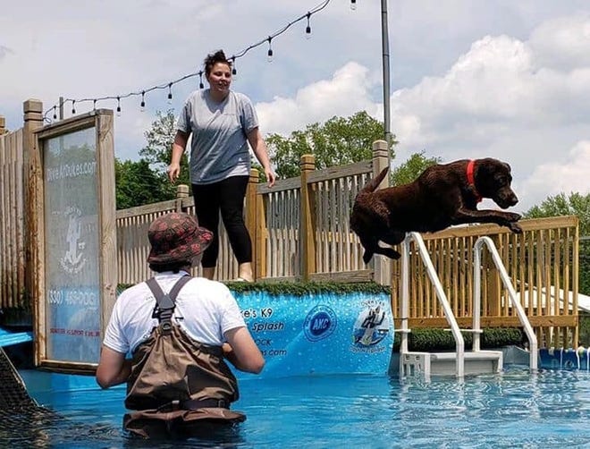 Shania and her owner, Melissa French of Independence Township, compete in the sport of dock diving. [Melissa French]
