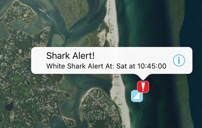The Sharktivity app alert is shown at 10:45 a.m. on Saturday off Nauset Beach.