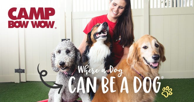 A local couple plans to open a Camp Bow Wow franchise in Swansea. [CampBowWow.com]