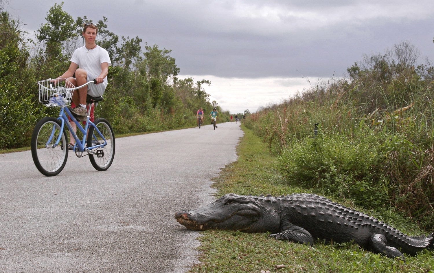 Everglades National Park: 5 reasons you should visit this Florida park