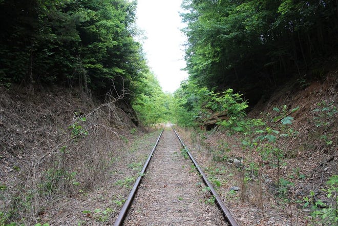 Conserving Carolina has been awarded a $6.4 million grant for the purchase of the rail corridor known as the TR Line, or Proposed Ecusta Trail.