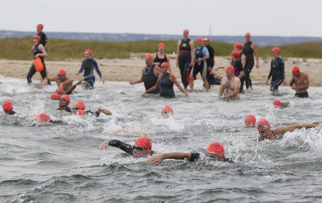 Swimmers leave Long Point at the start of the Swim for Life & Paddler Flotilla in September 2018. Organizers are laying out a new course for the event this year, as the Cape Cod National Seashore has denied a permit for use of the point, saying it would not fit with the “shark-smart” principles the Seashore has been promoting. [Cape Cod Times file]
