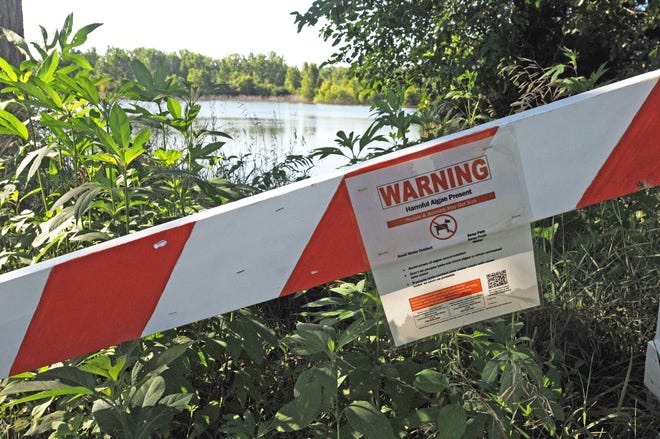 The Lakewood Park Lake,1323 East Iron Ave, is under a blue-green algae warning that was issued last week. Several signs are around the lake warning community members not to touch or drink the water as it could lead to nausea, vomiting, diarrhea, rash, irritated eyes, seizures, breathing problems or other unexplained illnesses. [AARON ANDERS/SALINA JOURNAL]