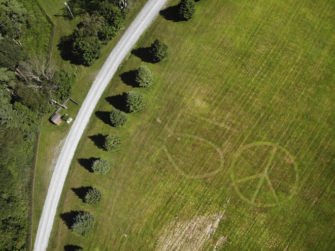 This July photo shows the number 50 and a peace sign mowed into the grass at the site of the 1969 Woodstock Music and Arts Fair in Bethel, New York. Fifty years later, memories of the rainy weekend Aug. 15-18, 1969, remain sharp among people who were in the crowd and on the stage. [SETH WENIG/THE ASSOCIATED PRESS]