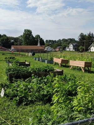 The Community Garden is located in Massillon's Franklin Park. (Photo provided)