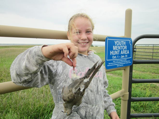 Several youth dove hunts are available across Kansas as the Sept. 1 opener approaches, offering young hunters the chance to learn the sport with the help of guides. [KDWPT]
