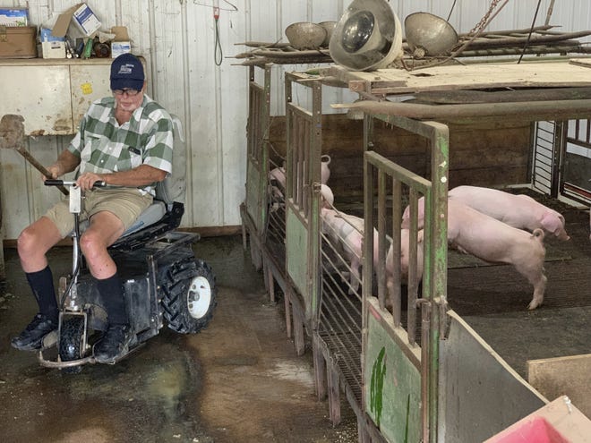 In this July 10, 2019, photo, farmer Mark Hosier, 58, rides a scooter as he checks on his pigs on his farm in Alexandria, Indiana. Hosier was injured in 2006, when a 2000-pound bale of hay fell on him while he was working. Assistive technology, help from seasonal hires and family members, and a general improvement in the health of U.S. seniors in recent decades have helped farmers remain productive and stay on the job well into their 60s, 70s and beyond. (Andrew Soregel via AP)