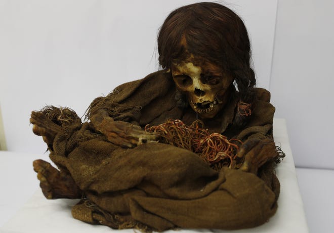 In this Aug. 15, 2019 photo, the 500-year-old mummy of an Incan girl sits inside a vault at the National Museum of Archaeology in La Paz, Bolivia. Nicknamed Nusta, a Quechua word for "Princess," the mummy recently returned to its native Bolivia 129 years after it was donated to the Michigan State University museum in 1890. (AP Photo/Juan Karita)