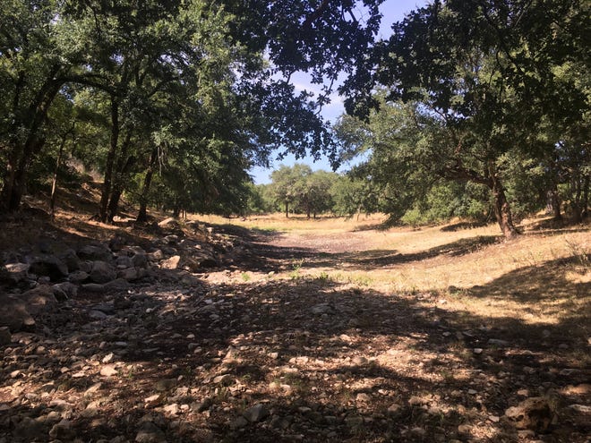 A 15-minute drive from downtown San Marcos, the 102-acre Sink Creek Community Forest was purchased by the city in 2017 for $1.27 million. The city won a $423,500 U.S. Forest Service grant this summer to partially cover the cost of the purchase. Officials plan to open the park to the public in a few years. [HANDOUT]
